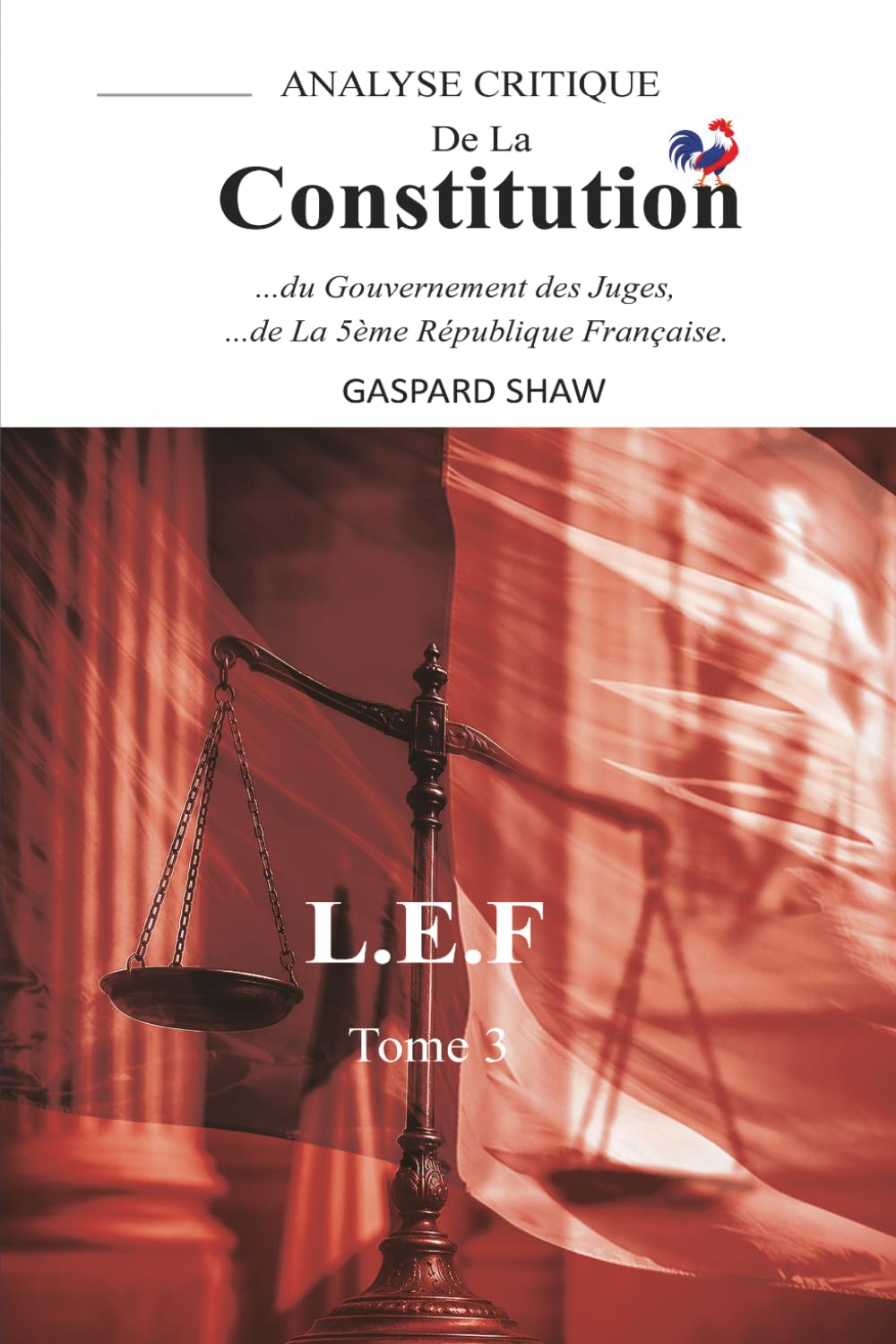 Analyse Critique de la Constitution de la Ve République Française et du Gouvernement des Juges-Tome 3 (Critical Analysis of the Constitution of the ... la logique du droit enferme la démocratie ?