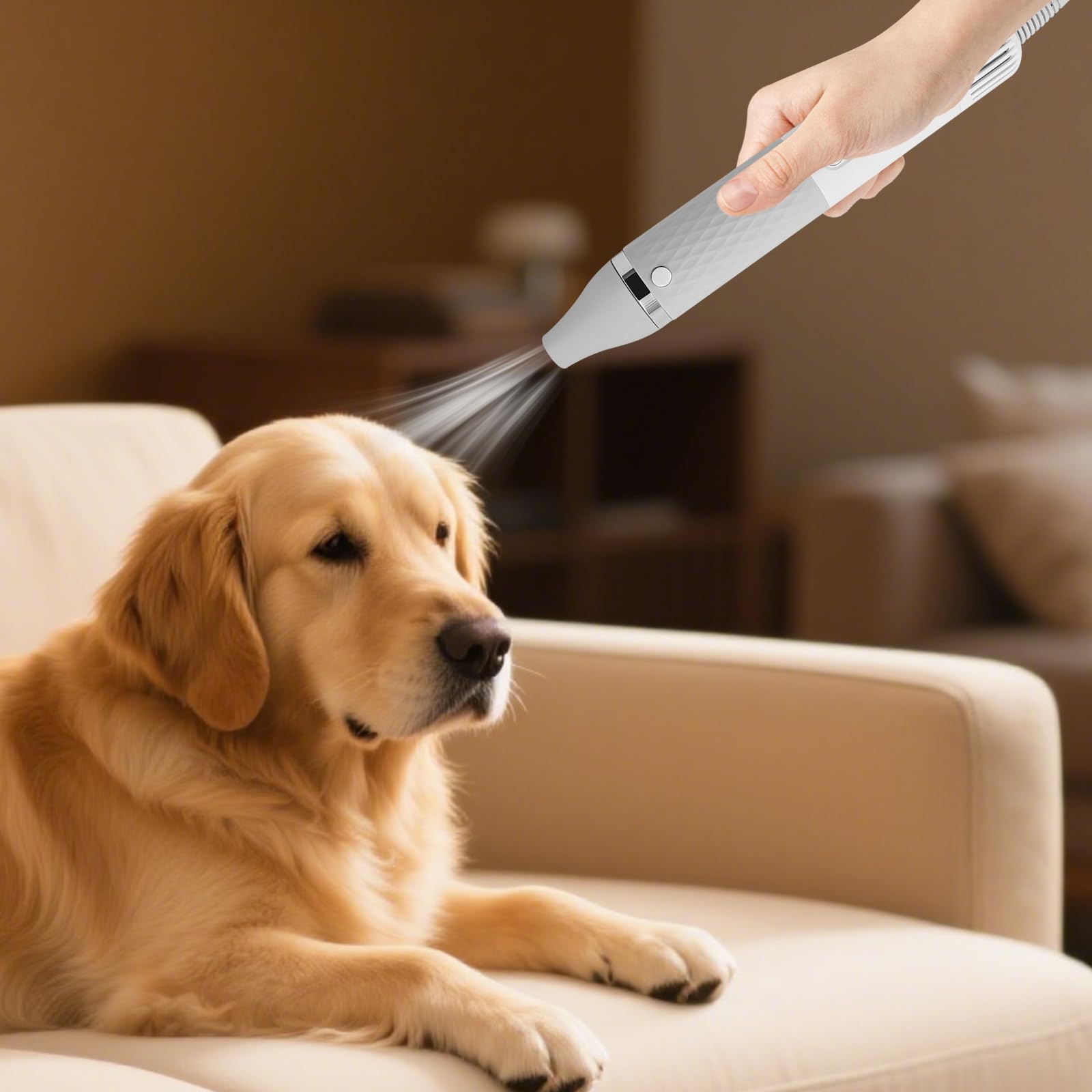 Hundefön Hunde Blower Haartrockner für Hunde und Katzen 1000W mit 4 Düsen