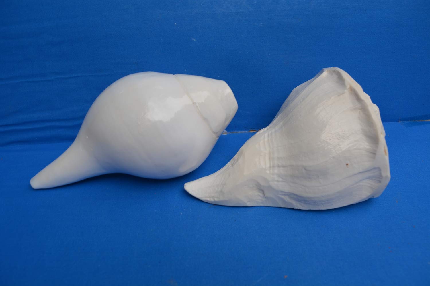 Shiva Lingam Shop Abhishek & Sound Shankha Shankh Shankha for Spiritual PoojaI-4957