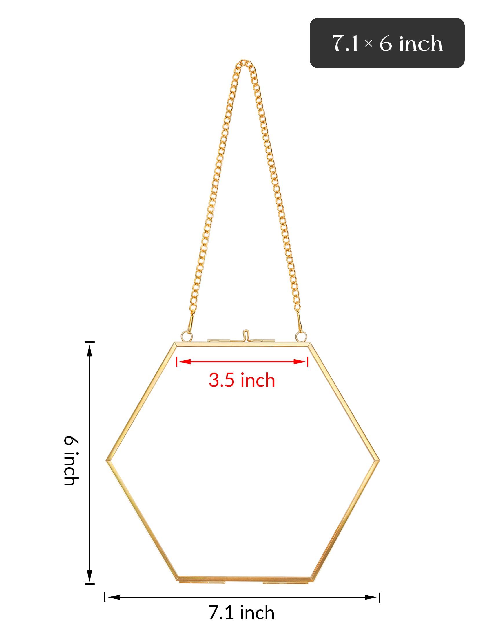 REDHUGO Cornice floreale pressata fatta a mano, cornice galleggiante in metallo, doppia cornice in vetro per fiori pressati, cornice unica in ottone, ottagono, oro, 10 x 15 cm (solo lama