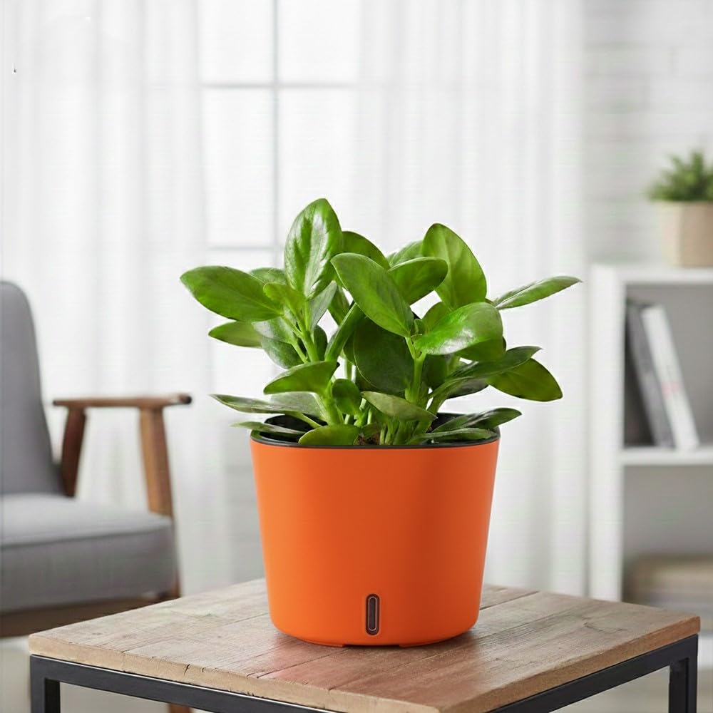 GARDENCIA Self Watering Pots - Modern Plant Cachepots -9 GARDENCIA Self Watering Pots - Modern Plant Cachepots -9