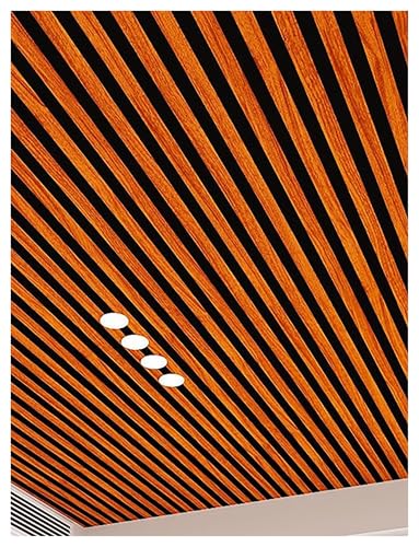 3DSV^CǃplArO[AQAItBX̓Vƕǂ̑ɍœKȖhPVCNbfBO(Dark brown,4-pack)