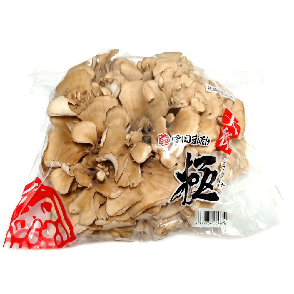 マイタケ 舞茸 チャフ 信州産 1792g 【公式通販】