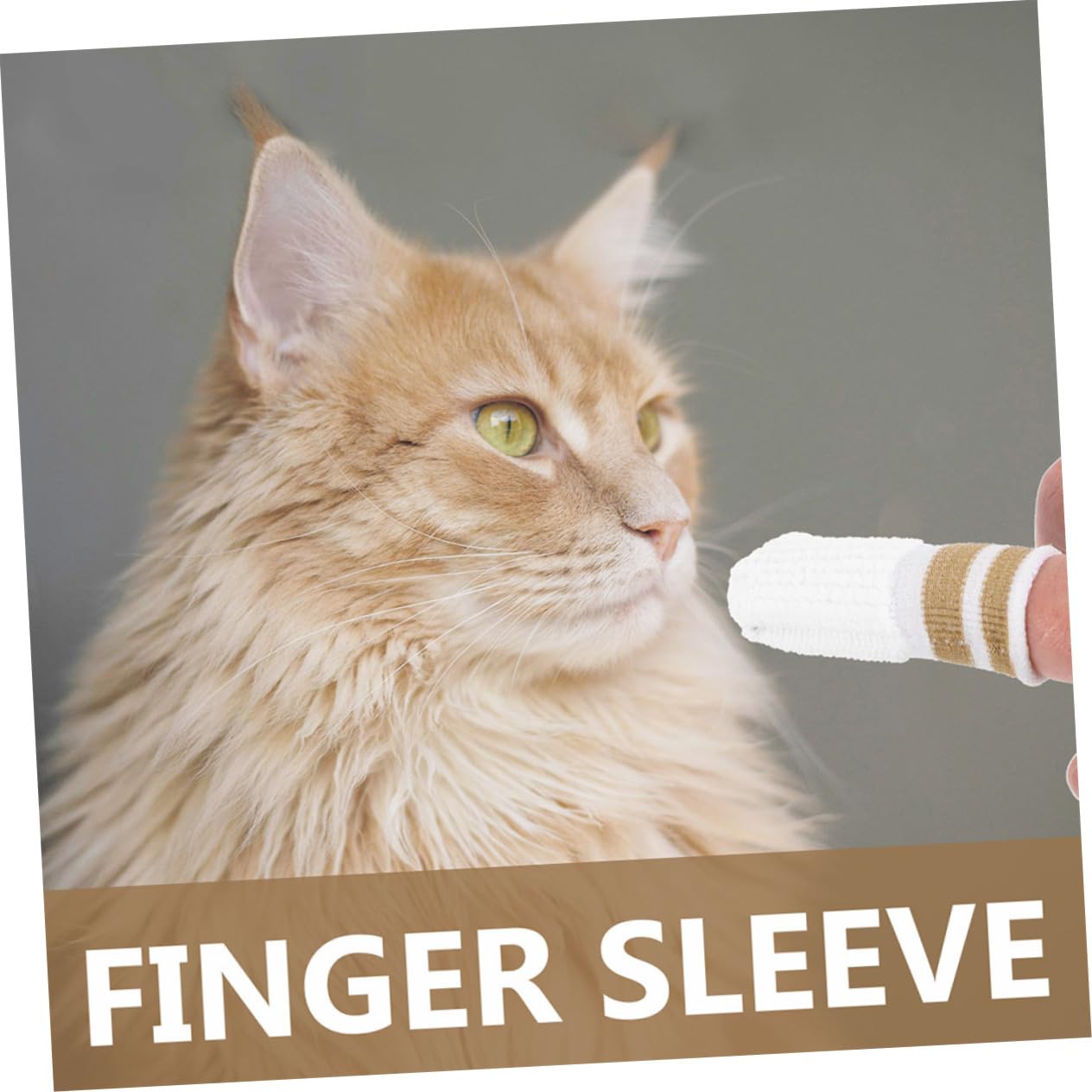 Yardwe 3pcs Dog Cat Finger Toothbrush Set Pet Cleaning Kit Pet Supply Easy to Use