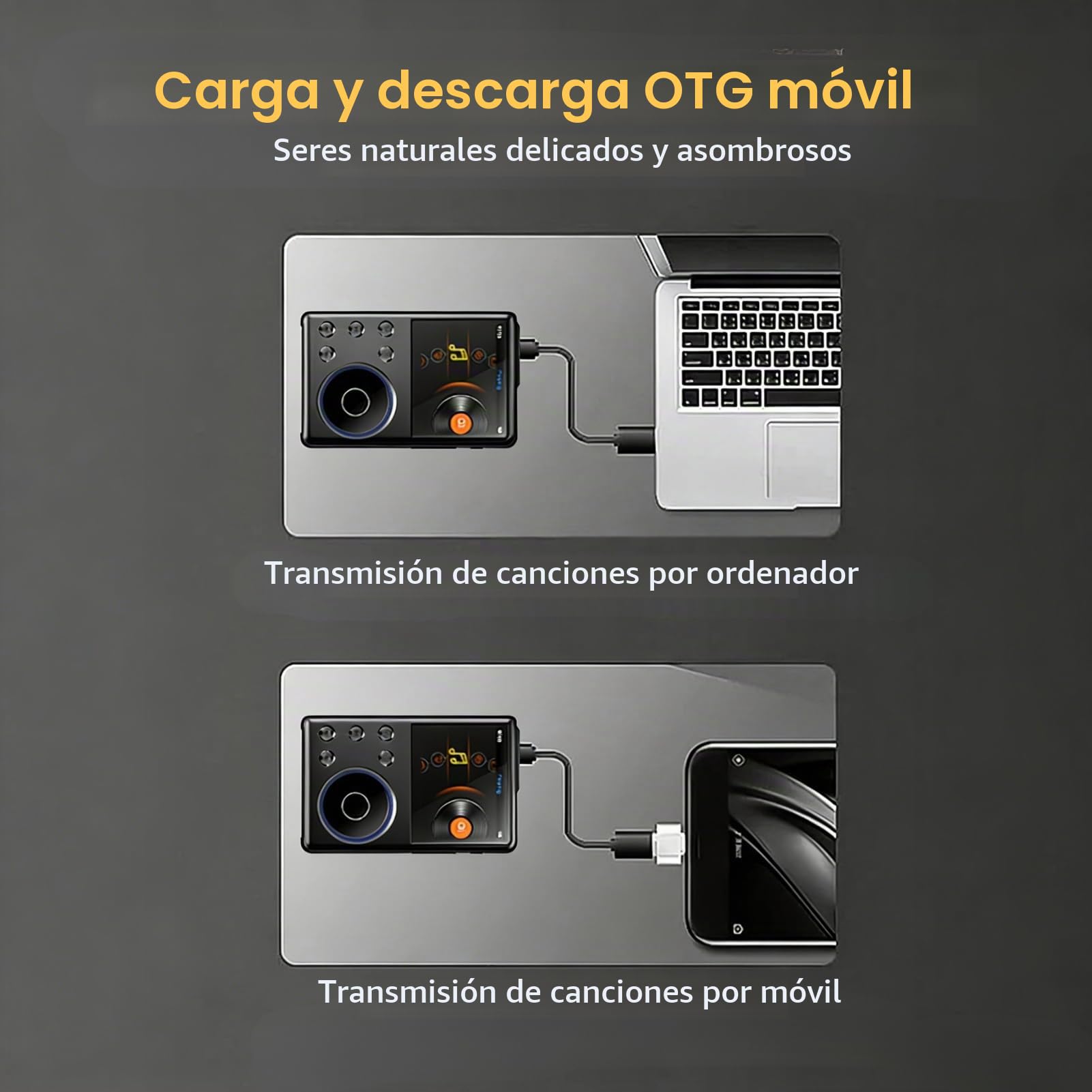 MP3 Player Bluetooth 5.3 HiFi DSD DAC Hi -Res FLAC Música Digital Player 2.4 Pulgadas Pantalla HD con una Tarjeta de Memoria de 16 GB Admite hasta 256 GB