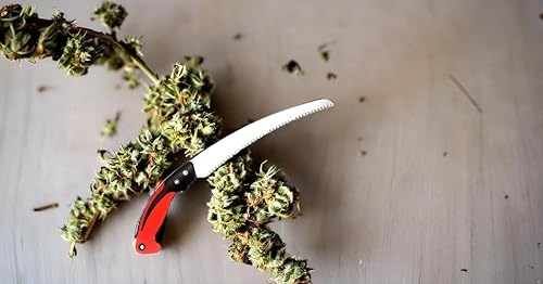 Miniatura 5 de Sierra de poda manual de 11 pulgadas con carcasa de hoja de sierra para recortar ramas de árboles de madera para acampar