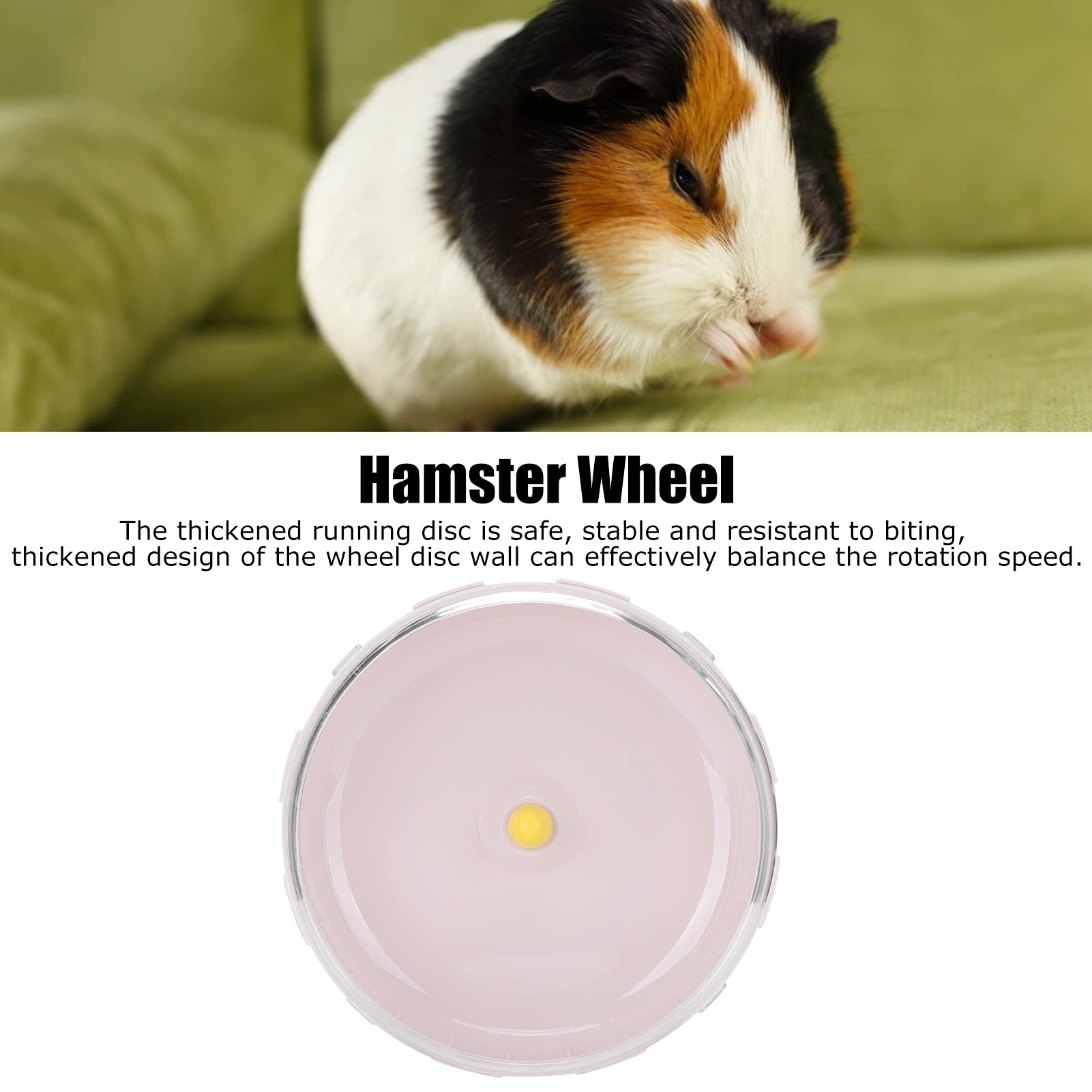 Ruota Per Criceti Silenziosa 7 Pollici - Con Cuscinetto In Acciaio | Per Piccoli Animali Domestici | Colore Blu