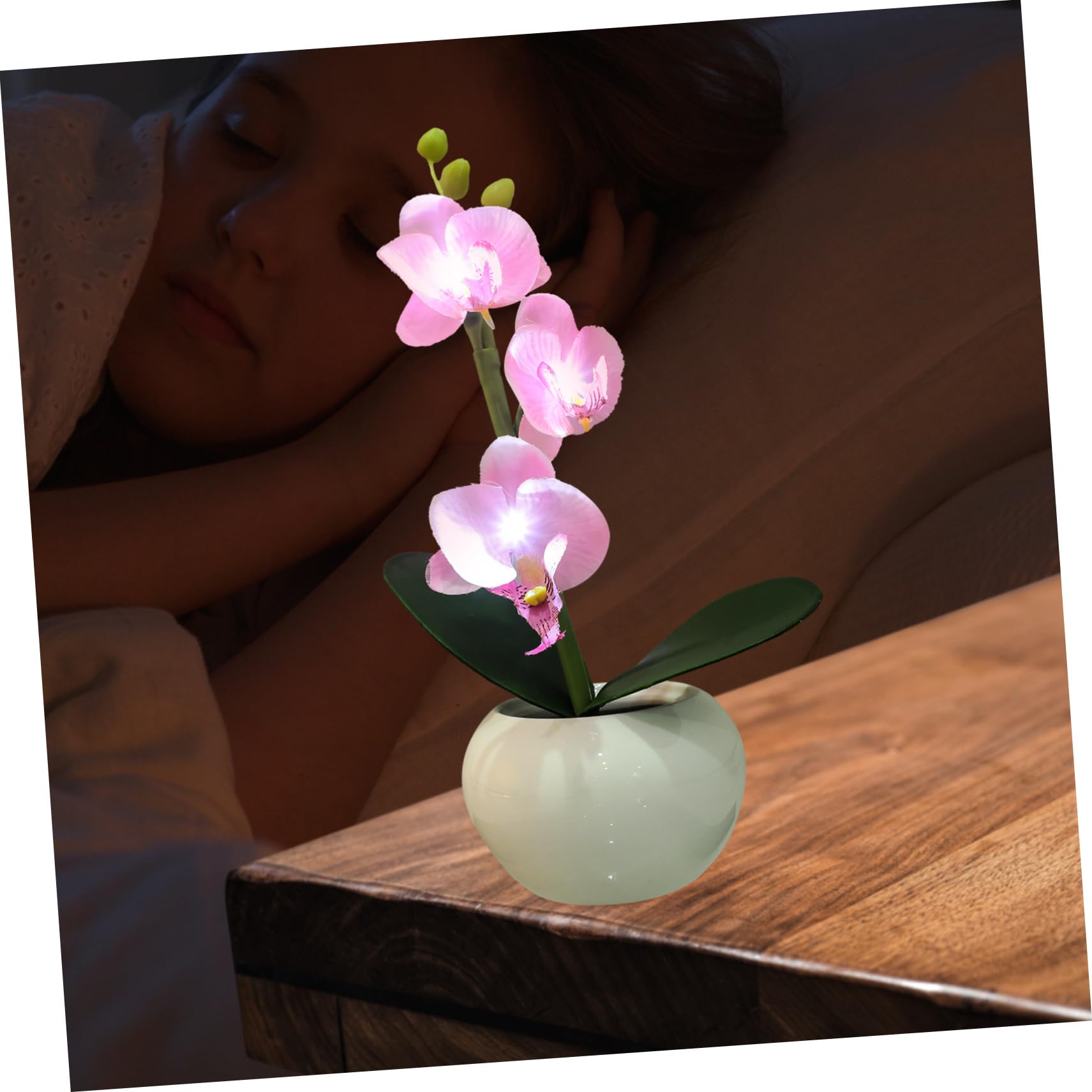 Zerodeko Luce LED Fiore in Vaso Rosa, Design Phalaenopsis, Ceramica | Riutilizzabile, Decorazione per Casa e Piazza Comunitaria, Forma Floreale Simulata