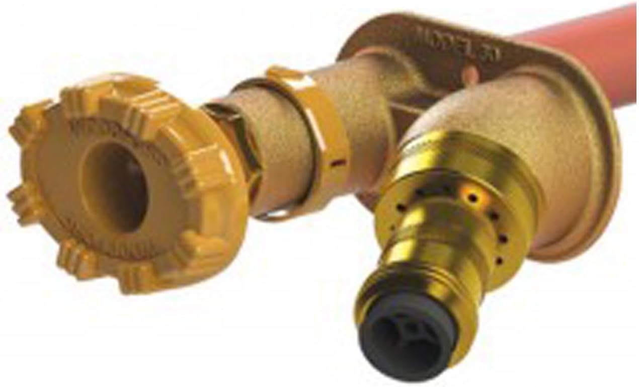 Woodford 30CP-10 Wall Faucet CP Inlet, 10-Inch