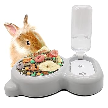 Tfwadmx Pet Double Dishes Rabbit Food Water Dispenser Set Cat Self Filling Bowls No Spill Dog Automatic Waterer Bottle Anti Gravity Feeder Cute Detachable Stainless Steel Bowl for Kitten Puppy Bunny
