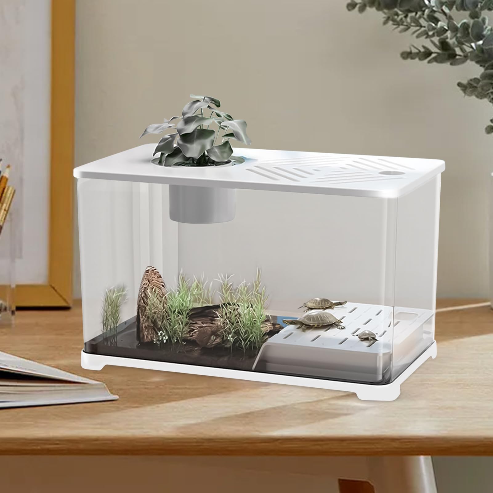 Pecera Acuario Kit Completo de Escritorio | Pecera Moderna Vista Panorámica con Zona Descanso Tortugas para Guppis Bettas Medusas Gambas Pisos Oficina en Casa