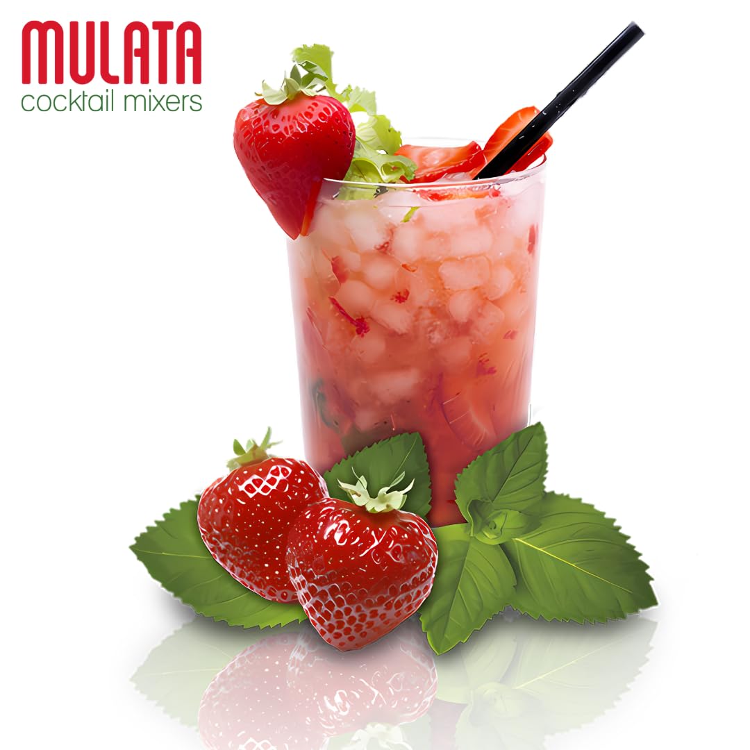 Mulata Concentrado Mojito 3L - Concentrado natural para 75 mojitos perfectos en segundos - Rápido, fácil y económico