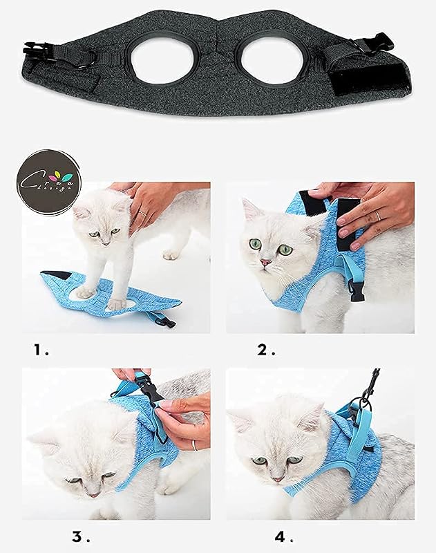 Crea CLEA- Pettorina per gatti ultra leggera e confortevole,con guinzaglio. (M, Nero)