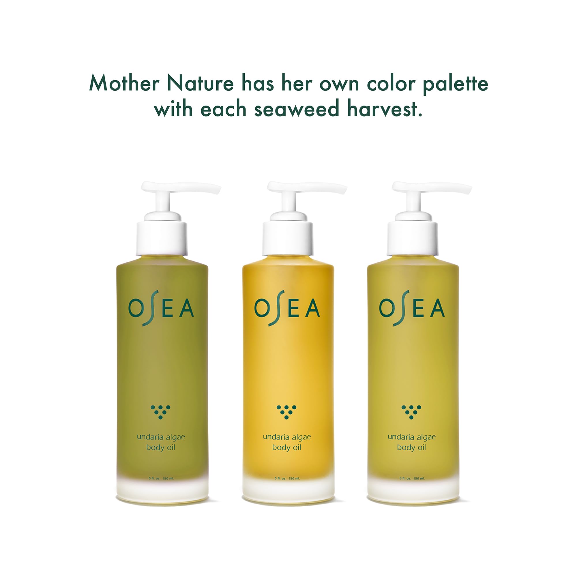 OSEA - Undaria Algae Oil - 6 oz by OSEA