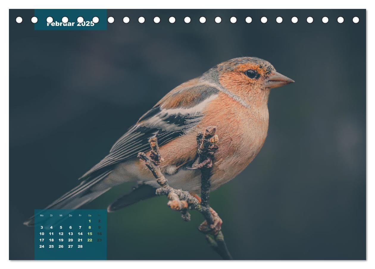 Gefiederte Vogelfreunde (Tischkalender 2025 DIN A5 quer), CALVENDO Monatskalender: Unsere heimischen Vogelarten im Porträt. (CALVENDO Tiere)