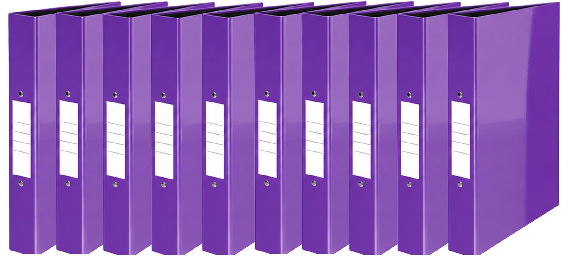 Nobel 25mm 2 Ring Polypropylene Gloss Binder A4 (10, Gloss Purple)