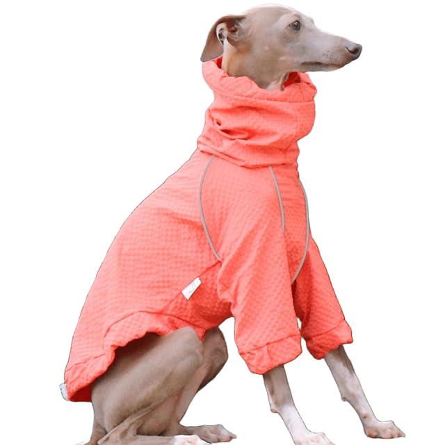 IUOUTG Chaqueta Ligera para Perros Cortavientos, Chaqueta Deportiva Al Aire Libre para Mascotas De Cuello Alto
