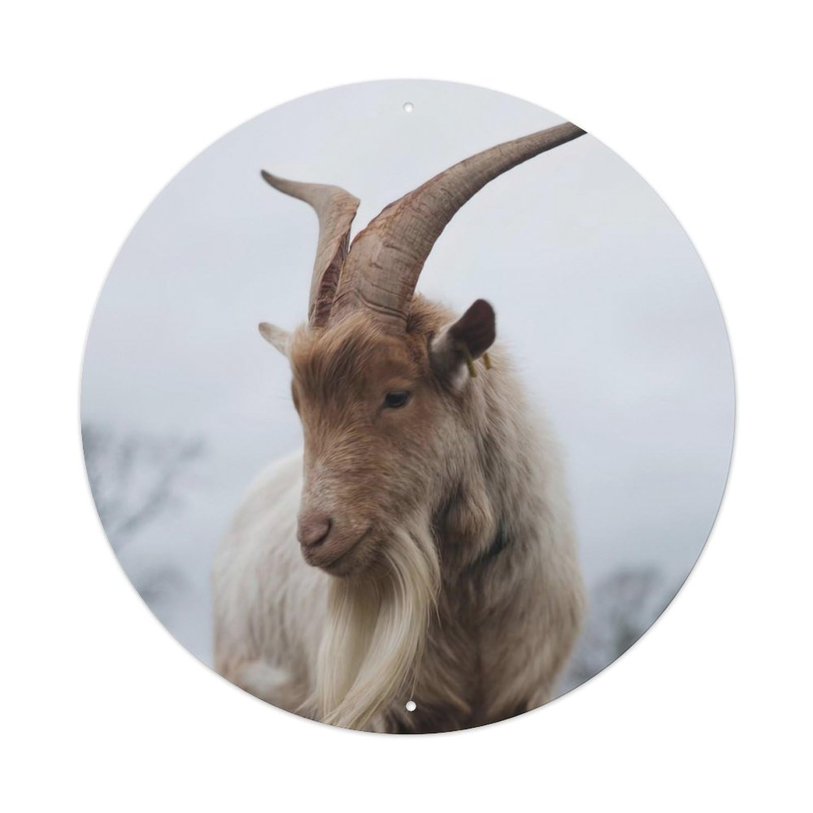 Finnish Landrace Goat Animal Vintage Metal Tin Sign Plaque Wall Decor for Cafe, Club Bar, Office, Garden Metal Poster 8x8Inch