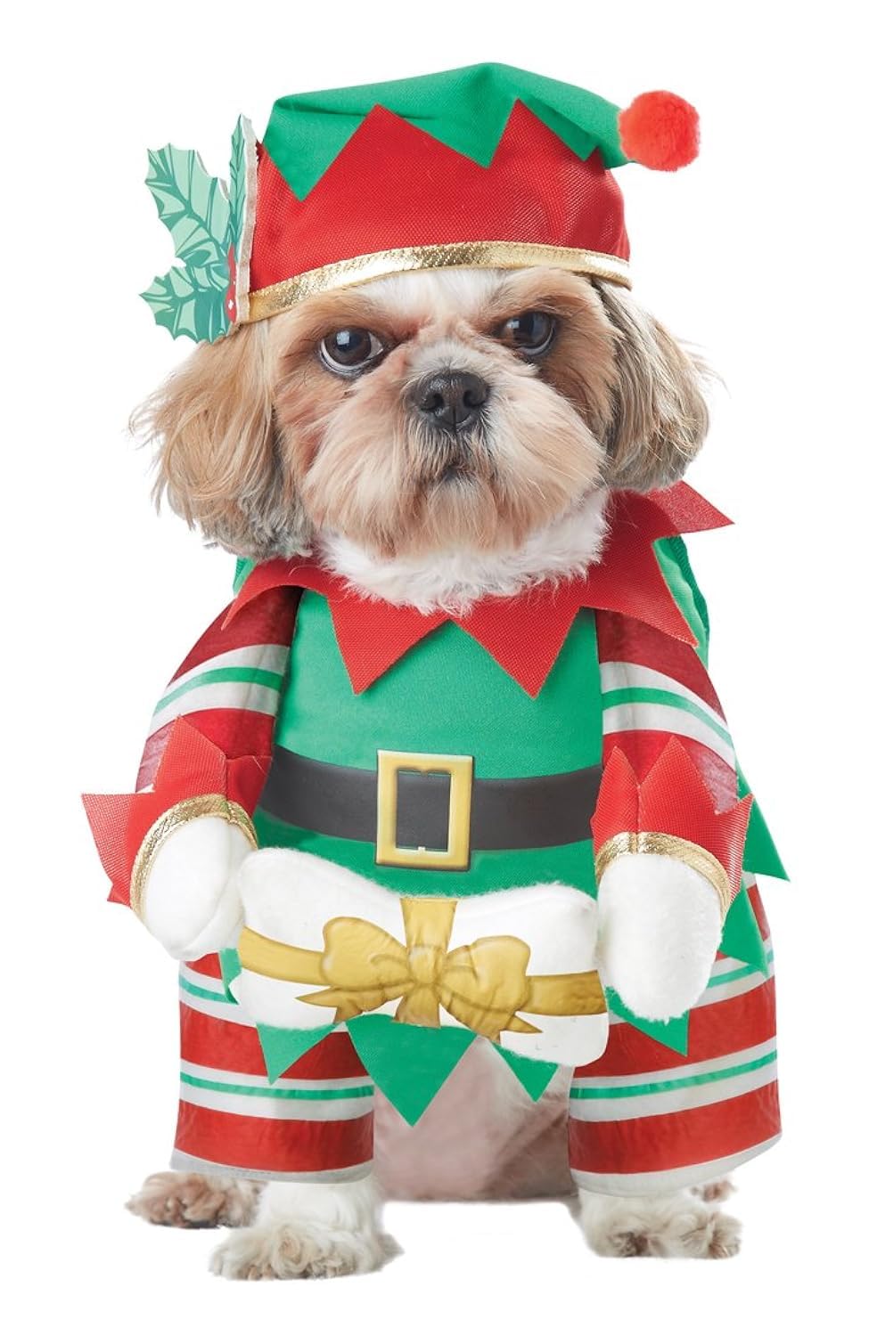 California Costumes Elf Pup Dog Costume - XS, Red - Image 3