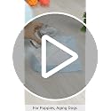 Image of AmazonBasics Pet Pee Pads for Potty Training| Standard | Regular 56 x 56cms | 50 Pieces | Leak-Proof Quick Dry Design, 5-Layer Design, for Small Dogs and Puppies (Standard, Regular Size, 50 Pads)