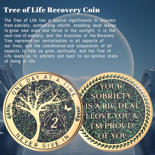 Image of LParkin 2 Year Sobriety Coin, Tree of Life Recovery Coin, AA Recovery Medallion, Anniversary Token Sobriety Gifts, Alcoholics Anonymous Medallion