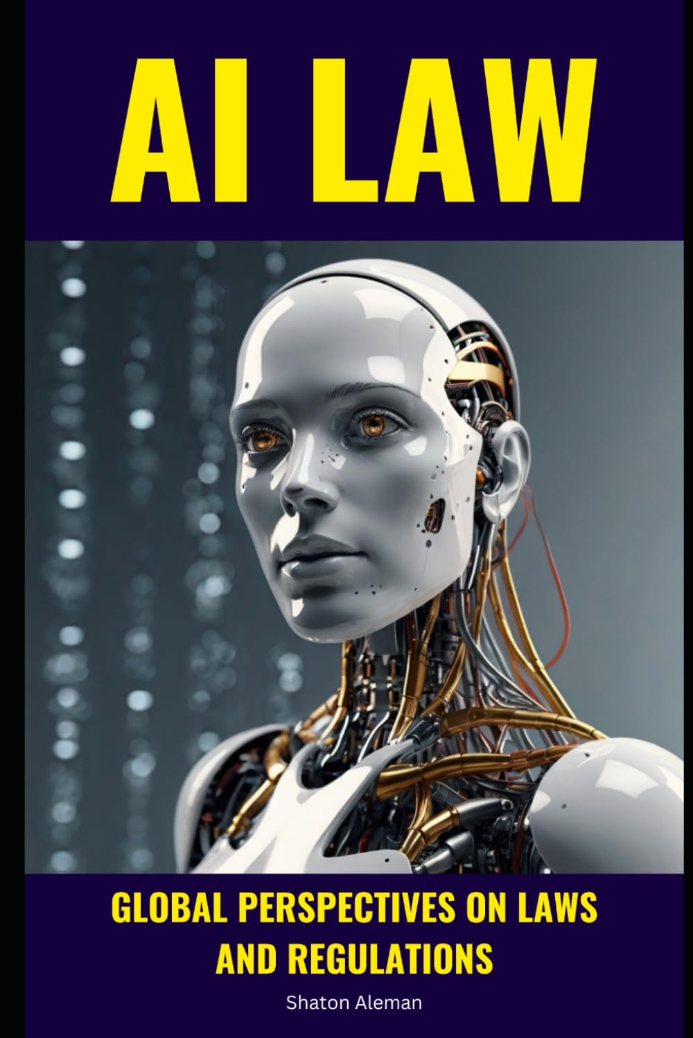 AI LAW: Global Perspectives on Laws and Regulations