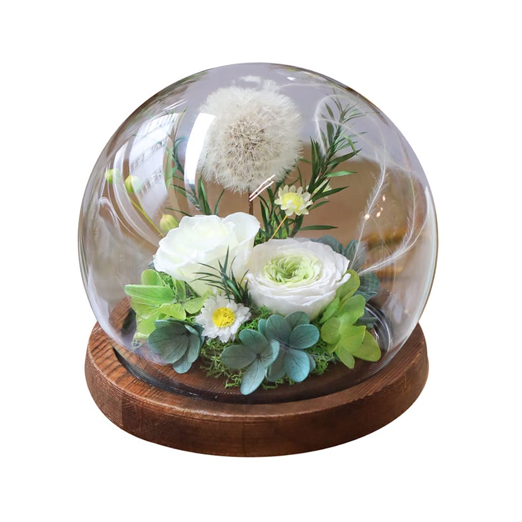 Amazon｜YKFNプリザーブドフラワー たんぽぽ タンポポ 薔薇 ガラス 
