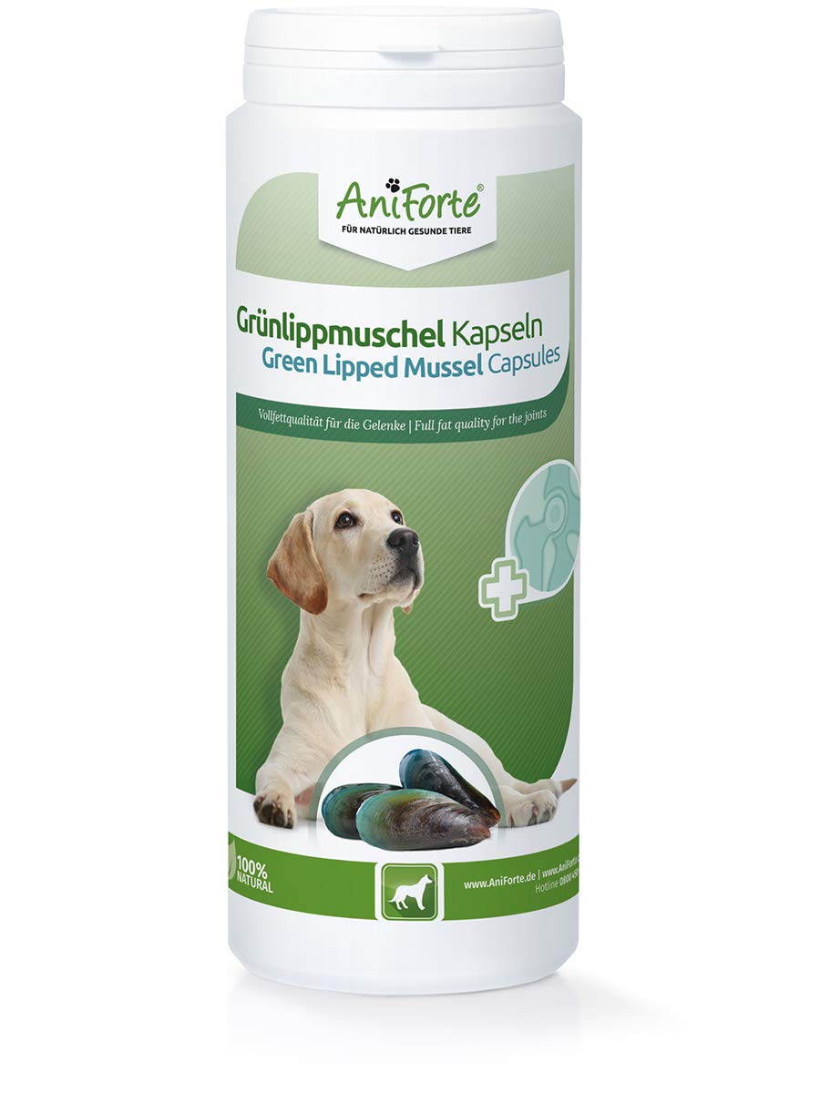 Buy AniForte Green Lipped Mussel for Dogs and Cats 500mg x 300 s 100