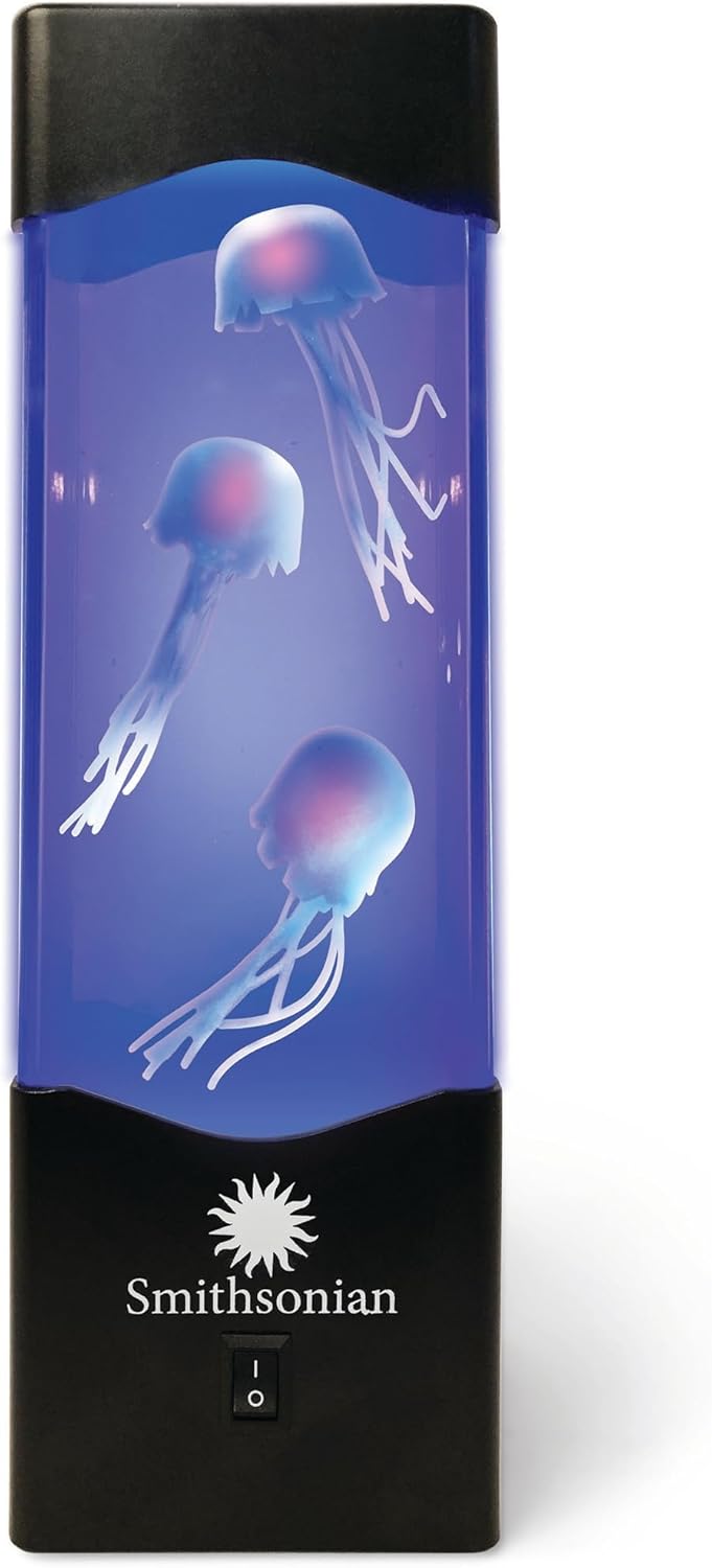 Jellyfish Aquarium