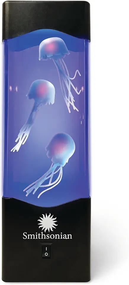 The Ultimate Guide To Setting Up A Jellyfish Tank At Home | PetShun