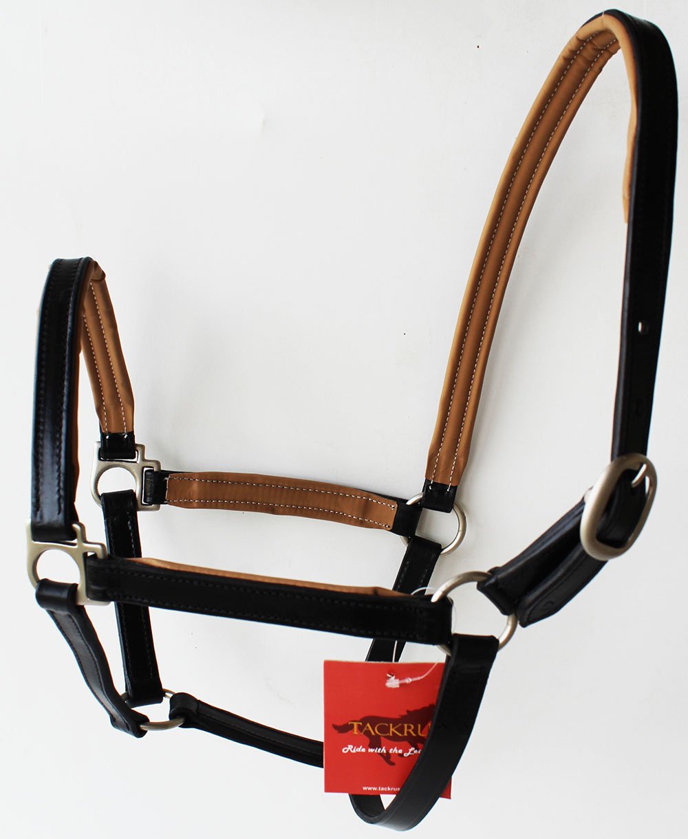 Tackrus Horse English Padded Leather Pony Western Show Halter Tan 803209TNP