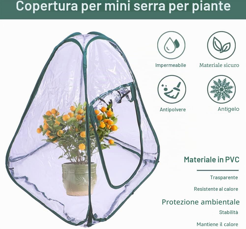 LATERN Tenda della Serra Pop Up, Mini Grow House Stanza del Sole del Fiore del Giardino del PVC Copertura per Serra Portatile per Piante da Giardino Protezione dal Gelo Freddo (70 x 70 x 80cm)