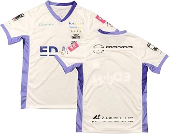 サンフレッチェ広島 アウェイ支給品ユニフォーム NIKE サンフレッチェ広島 2023 ユニフォーム アウェイ 半袖