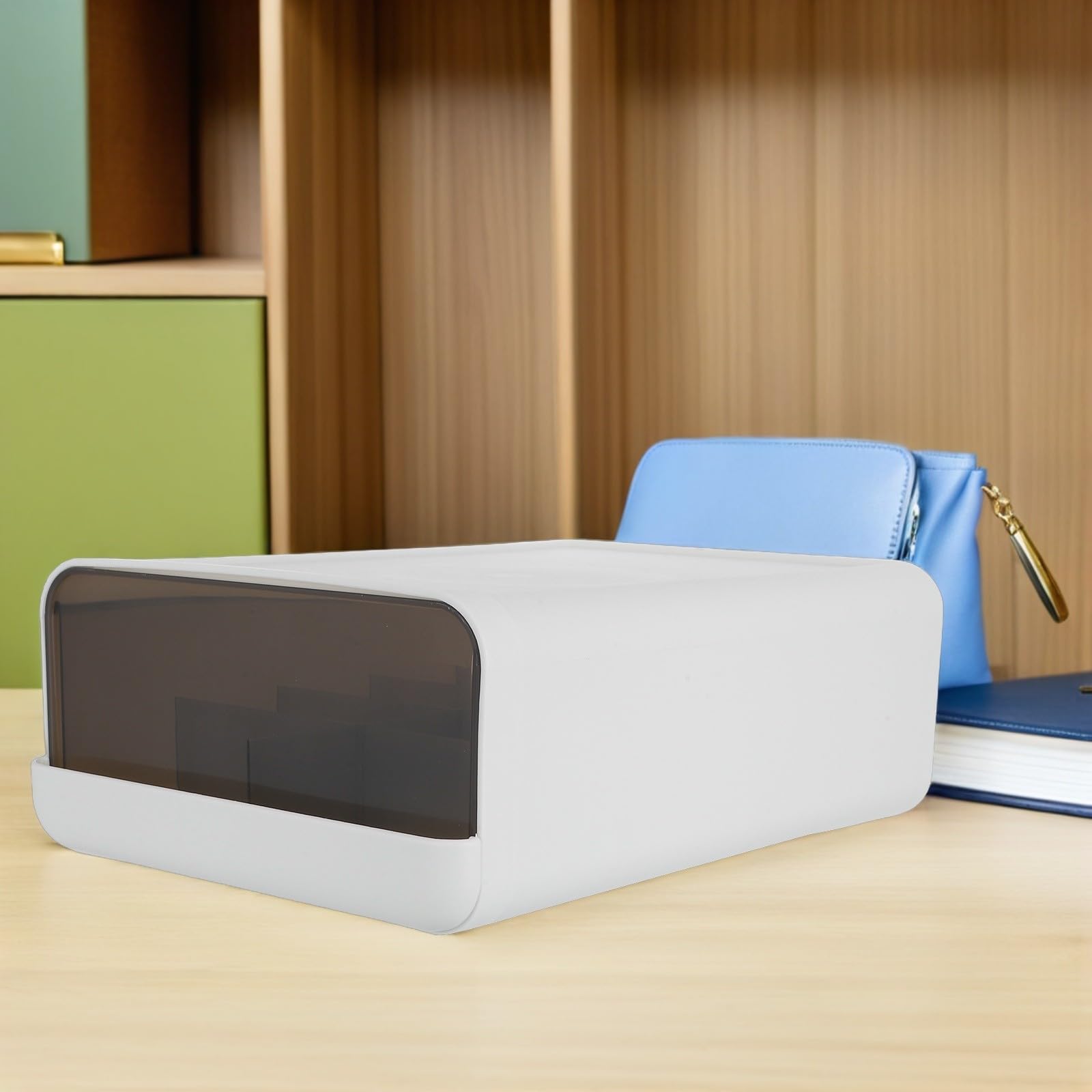 INOOMP Organizer per Biancheria Intima e Calzini in Plastica, Scatola Portaoggetti 10 Scomparti, Organizer per Cassetti di Armadio e Sottoletto, Contenitore Salvaspazio e Accessori