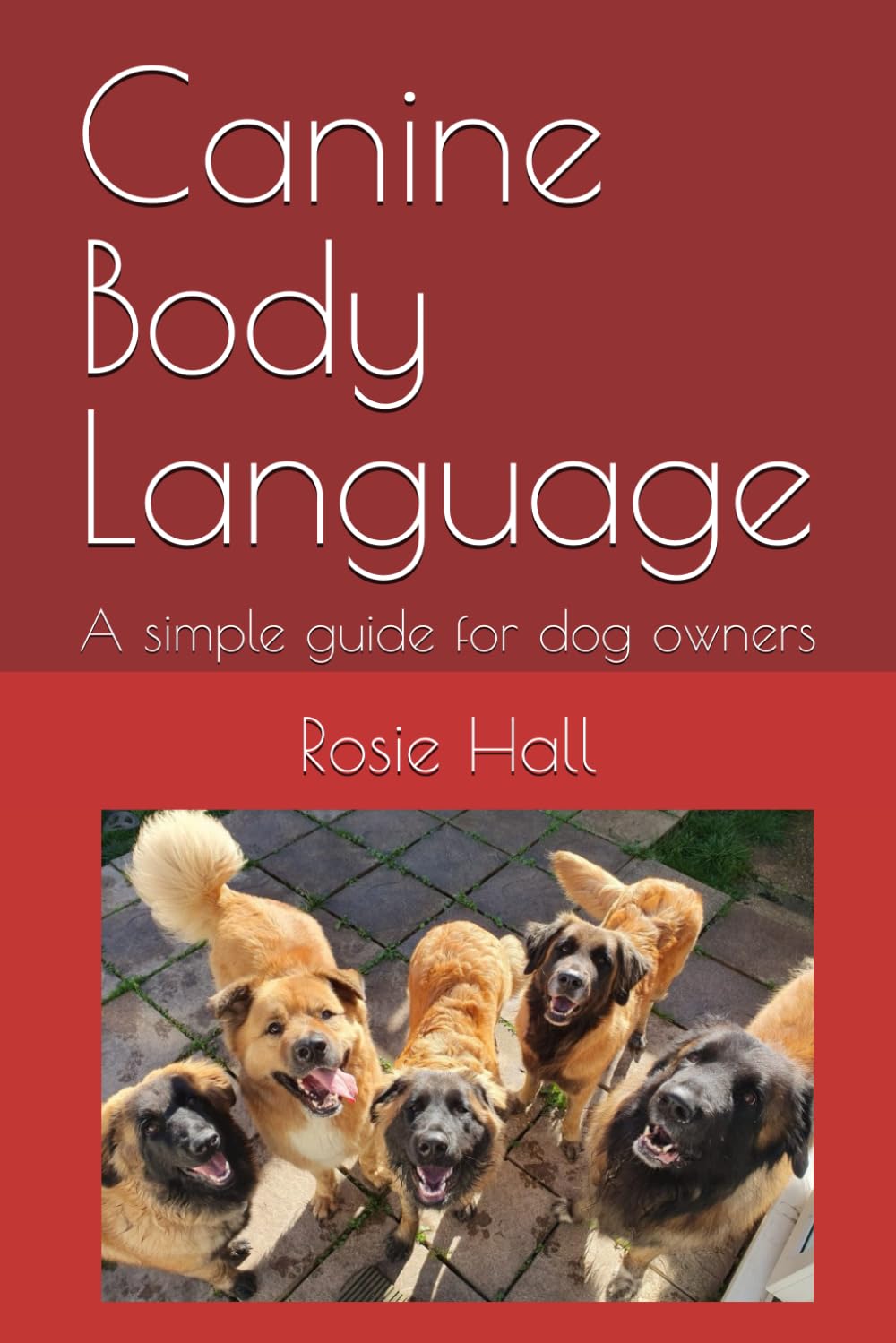 Canine Body Language: A simple guide for dog owners