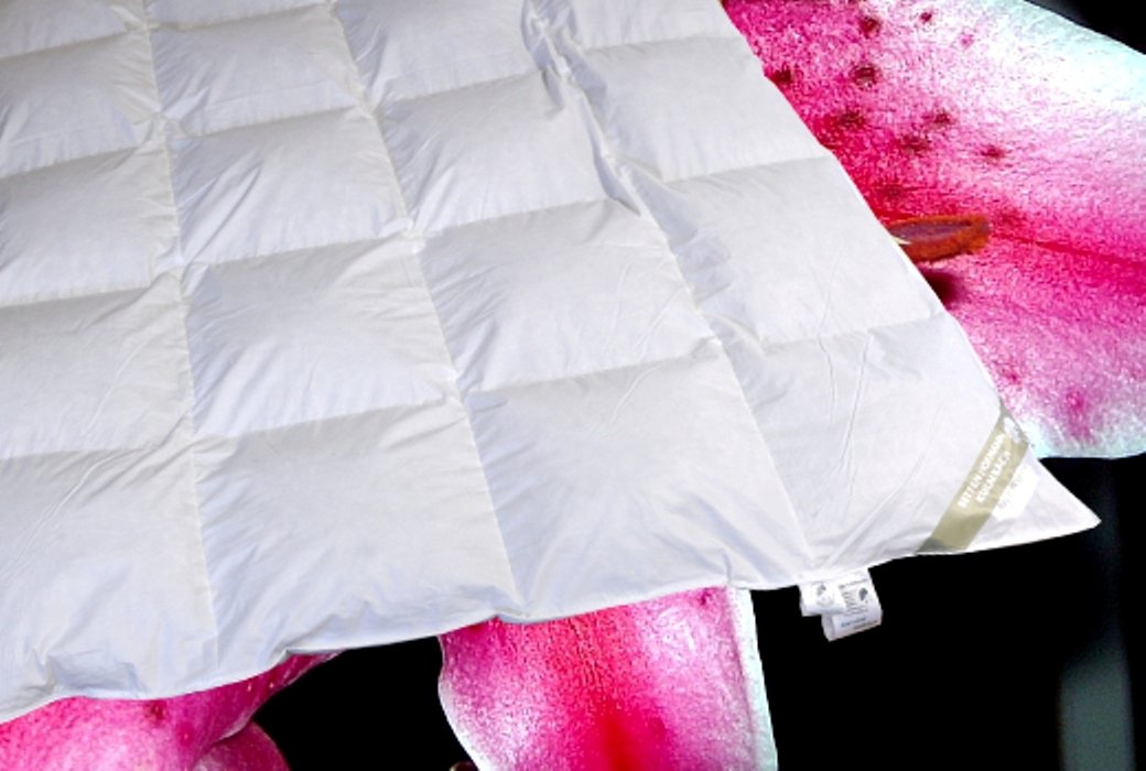 Betten Hofmann Daunendecke 135x200 Ganzjahr Canada Kassetten Bettdecke Daunen Ganzjahresdecke, 100% Baumwolle, für Allergiker, Schlafdecke mit Füllgewicht 1000 g
