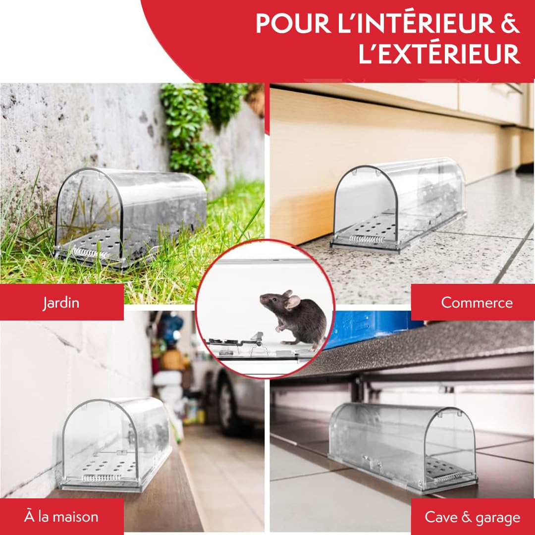 PATTLER® Piège à Souris Vivante Extra Grand - Cage de Capture sans Tuer pour Souris, Rats et Rongeurs - Nasse Réutilisable avec Trous d'Aération - Intérieur & Extérieur - X1 Transparent