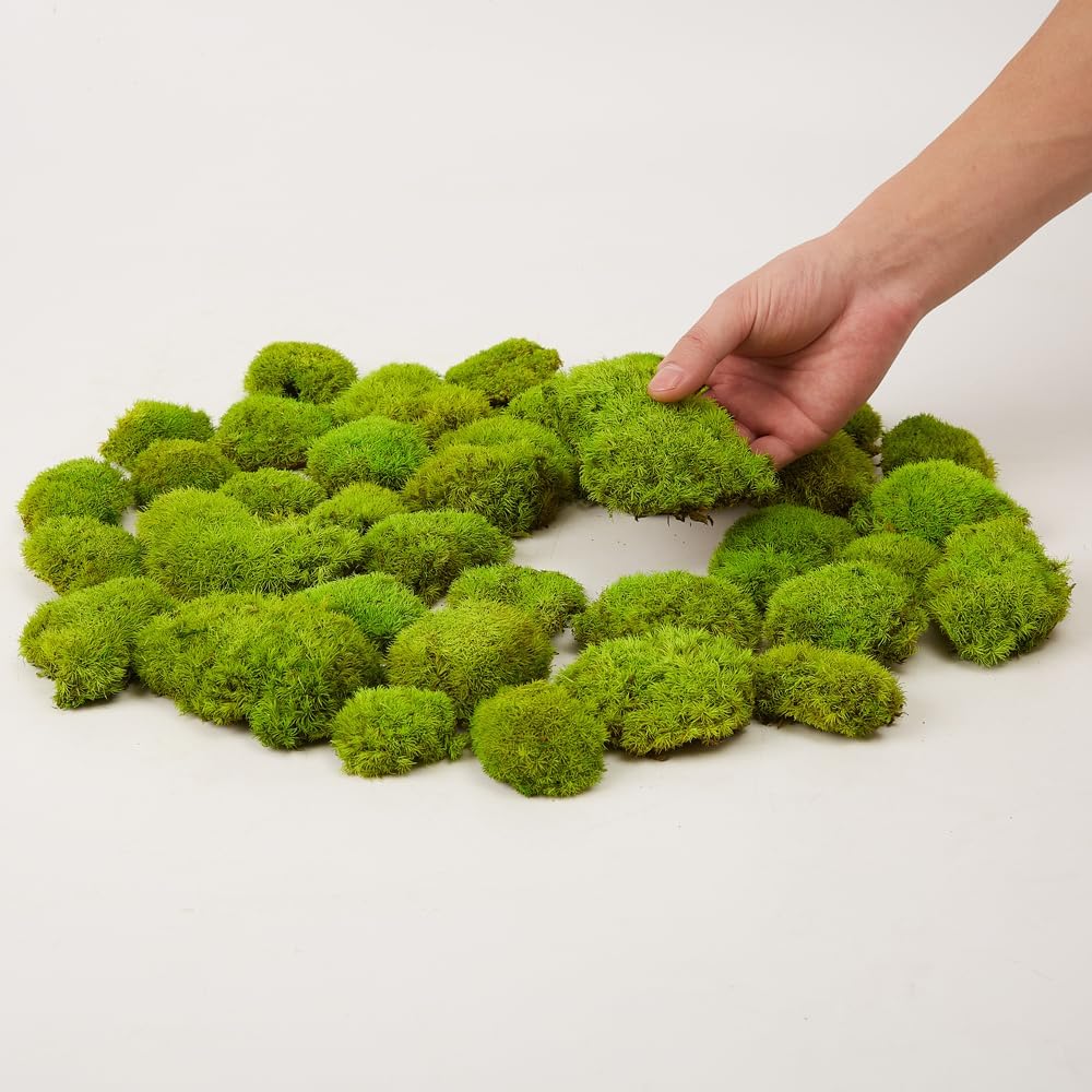 Prefleur konservierte Pflanzen Stange Mooskissen Dutt Kissen Natur Grn  Dekorativ Echt Natur Grn DIY Kit Terrarien Gartenarbeit Kunst  Wanddekoration Florist Dekor (Green-e, 1.5 sq.ft.) : Amazon.de: Kche,  Haushalt & Wohnen