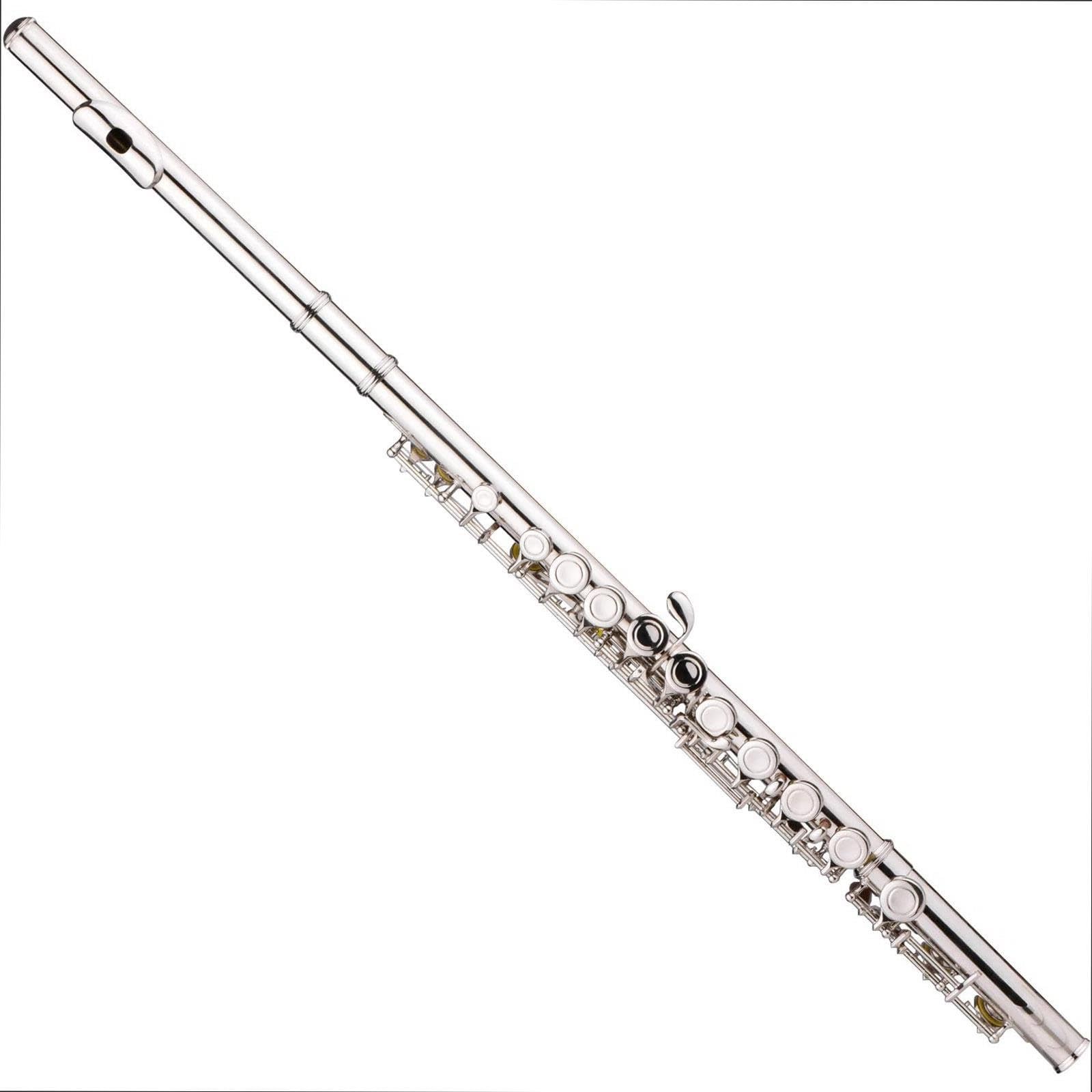 Flute Flauta C de 16 hoyos