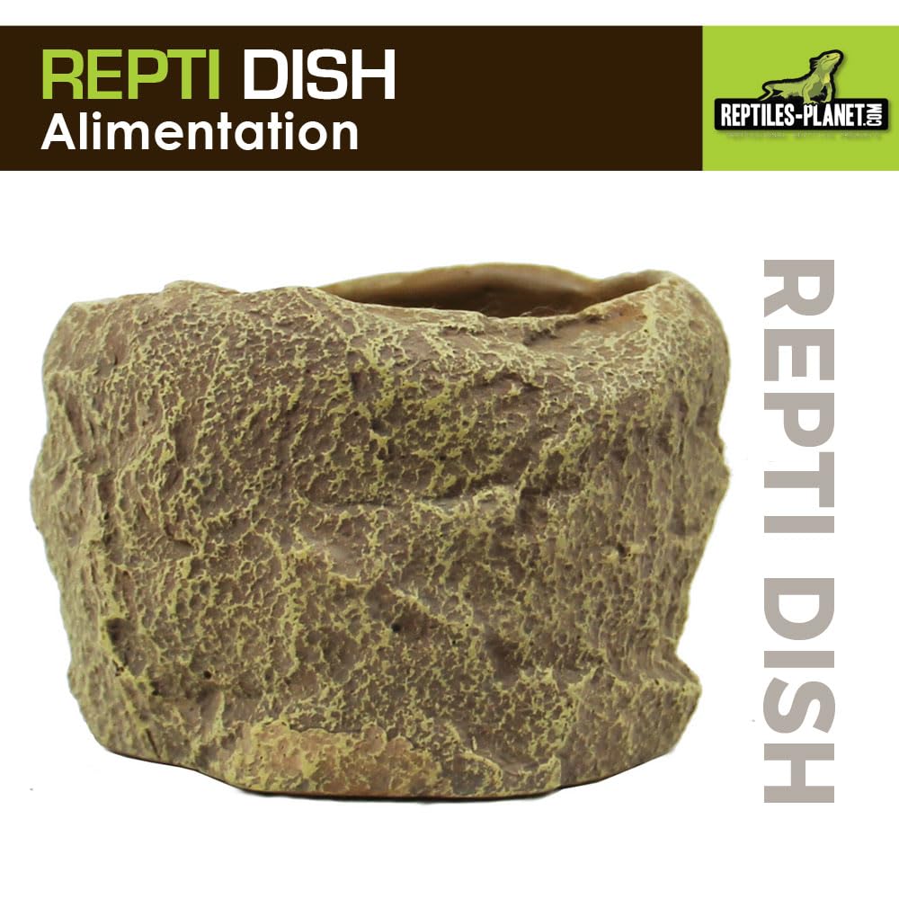 Reptiles Planet Repti Dish Deep M Gamelle pour Reptiles 12 x 11,5 x 8 cm