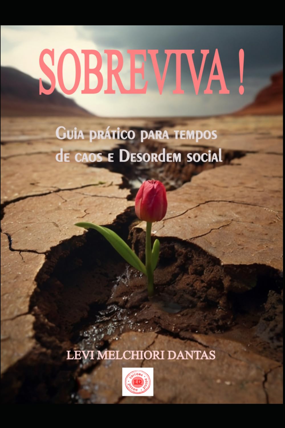 Sobreviva!: Guia prático de sobrevivência para tempos de caos e desordem social