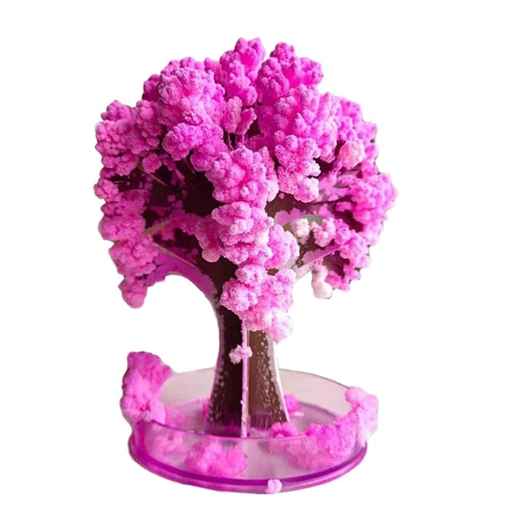 IDELLA Sakura Magic Trees - Japanese Tree with Cherry Blossom - Japanese Miniature Tree Kit - Flower Decoration - Gift Idea for Japanese Lovers