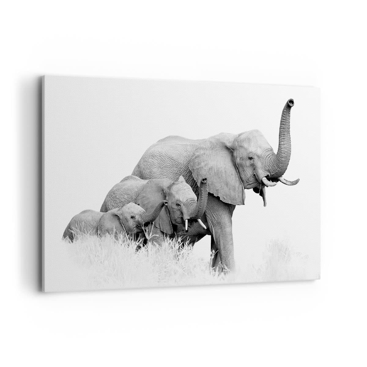 Cuadros Decoracion Salon Elefantes Familia Blanco Y Negro Lienzos decorativos 120x80cm Cuadro Sobre Lienzo Moderno Dormitorio Cuadros Pared Imágenes Wall Art Prints Decor Grande XXL AA120x80-4374