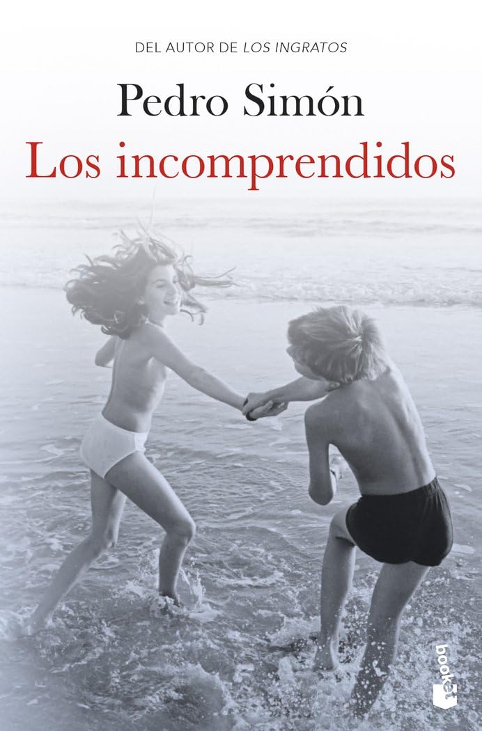 Los incomprendidos (Novela)