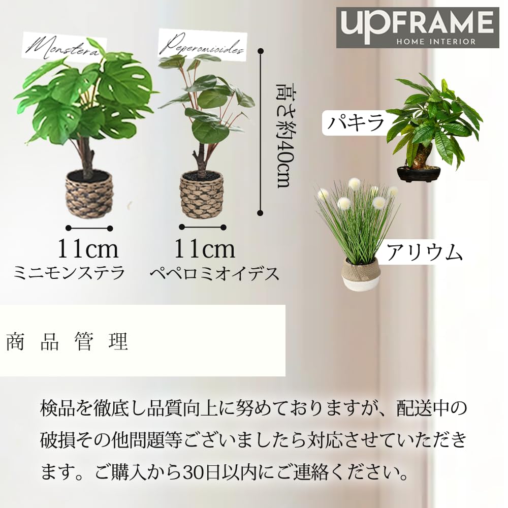 【モンステラ】【ミニモンステラ蔓】【フェイクグリーン】【インテリアグリーン】 【モンステラ】【ミニモンステラ蔓】【フェイクグリーン】【インテリアグリーン】