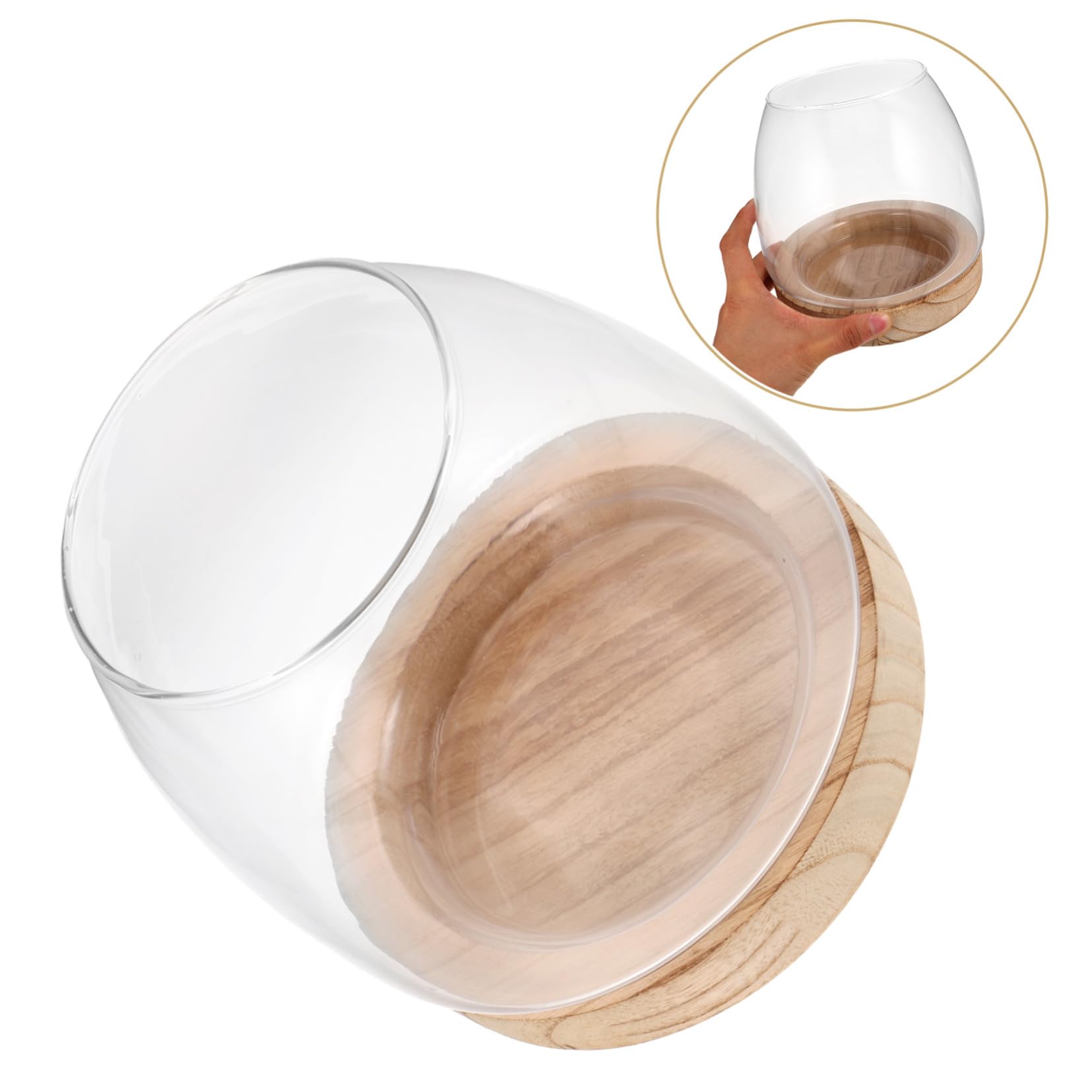 Vase Hydroponique Verre Transparent avec Base Propagateur de Petites Plantes pour Bureau et Maison Terrarium à Large Ouverture pour Micro-Paysage Décoratif