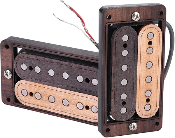 Amazon.co.jp_ マグネットピックアップ しっかり吸着 磁石 ギター用 ギターピックアップ 頑丈 + LP SG プラスチック 244g _ 楽器・音響機器