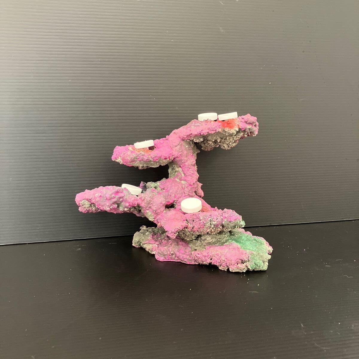 XM-198 流木　マシンガンウッド　アクアリウム　ブランチウッド　沈水確認済 XM-198 流木 マシンガンウッド アクアリウム ブランチウッド 沈水確認済