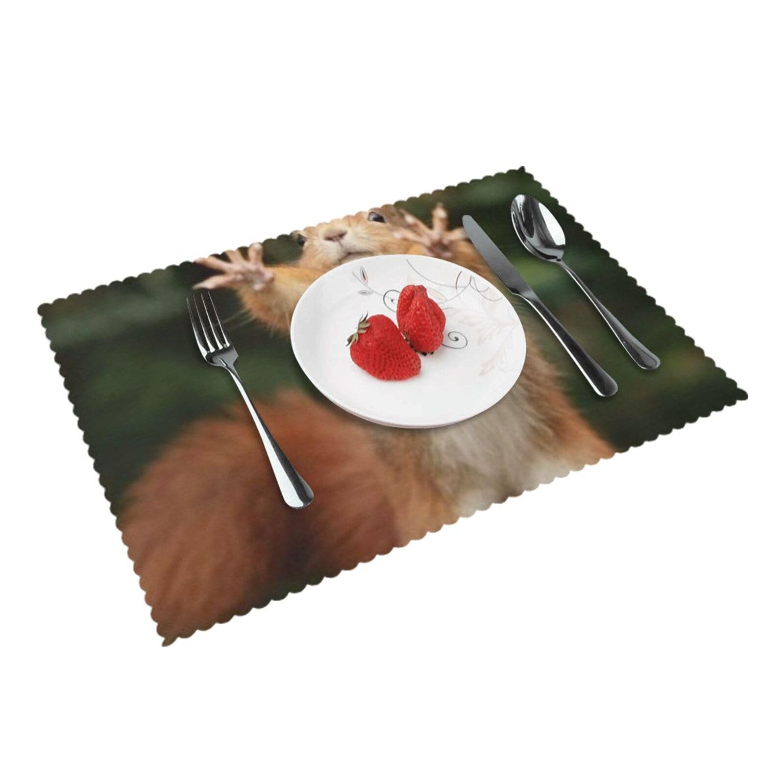Bnvsadc Squirrel Funny Animal-R18325 4 Pcs Heat Resistant Placemat 45X30 Cm, Printed Non-Slip Place Mats For Kitchen Dining Table Indoor Outdoor