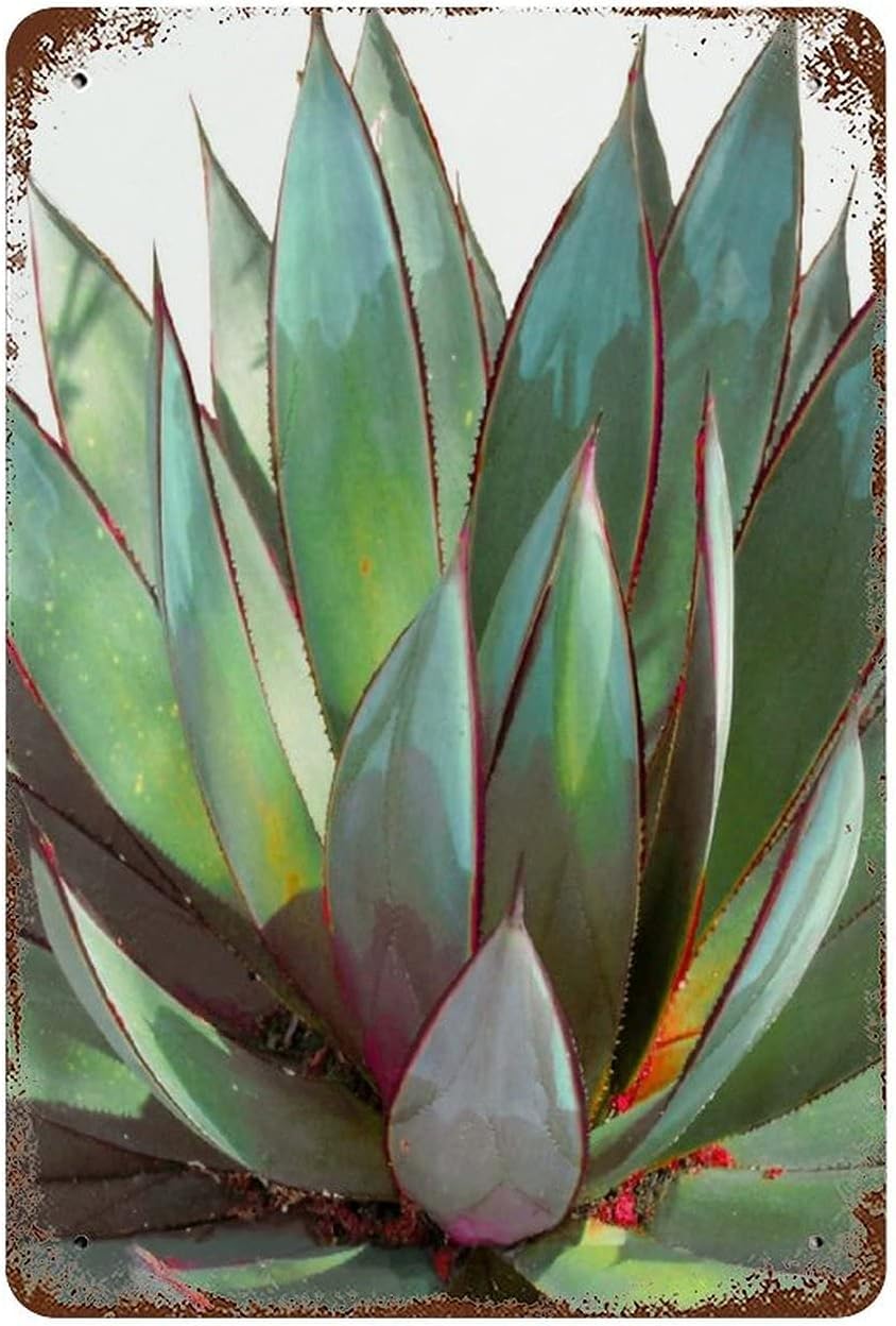 rayprint Colorful Succulent Tin Sign Cactus Wall Art Large Plant Metal Sign Desert Abstract Watercolor Southwestern Aluminum Poster Rustic Signs Wall Decor 8x12inch